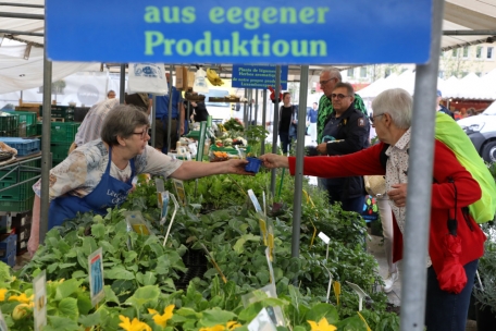 Luxemburg-Stadt / „Stater Maart“ ist nach mehr als zwei Jahren wieder zurück auf dem „Knuedler“