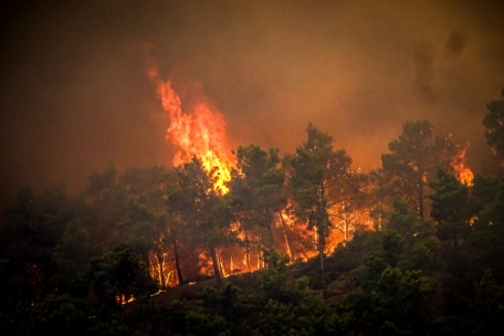 Flammen fressen sich durch einen Wald auf Rhodos 