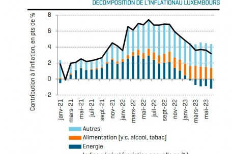 Entwicklung und Zusammensetzung der Inflationsfaktoren in Luxemburg