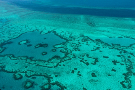 Australien / Great Barrier Reef landet wohl erneut nicht auf der Liste der gefährdeten Welterben