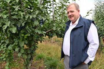 Interview / Nachfrage ist groß, die Produktion nicht: Luxemburg soll mehr Obst anbauen