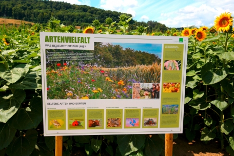 Informative Panels klären über die unterschiedlichsten Aspekte der lokalen Landwirtschaft auf