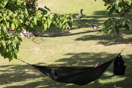 Spanien / Die Rückkehr der Siesta: Warum das Mittagsschläfchen wieder auf dem Vormarsch ist