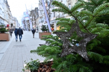 Auf der Suche nach Tannenbäumen / Bei der Stadt Luxemburg weihnachtet es bereits früh