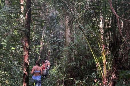 Auf Abenteuerreise durch das Gestrüpp Koh Ta Kievs 