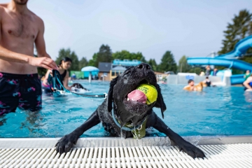 Düdelinger Freibad / Hundeschwimmen zum Saisonabschluss