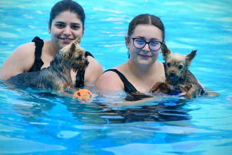 Wuff! / Hundeschwimmen in Düdelingen: 200 Vierbeiner und ein Schwimmbad