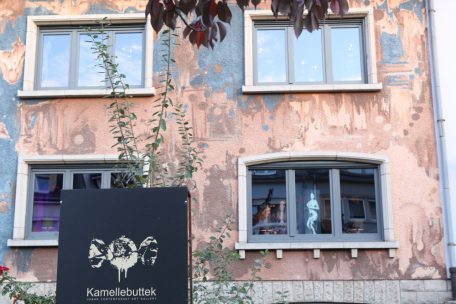 Das Einfamilienhaus hebt sich äußerlich durch eine kunstvoll gestaltete Fassade von den Nachbarhäusern ab