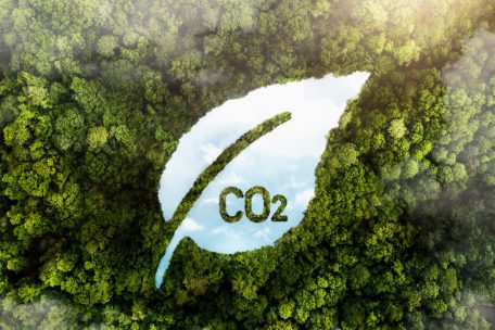 Klimawandel / Tool zur Berechnung des persönlichen CO₂-Fußabdrucks geht online