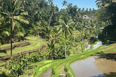 Reisebericht / Fragmente aus Indonesien