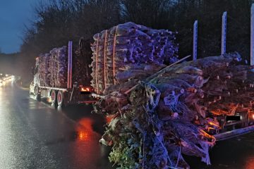 Deutschland / Lastwagen verliert Weihnachtsbäume – mehrere Fahrzeuge beschädigt