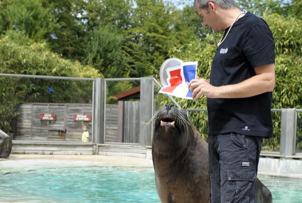 Zoo Amnéville beantragt Insolvenz