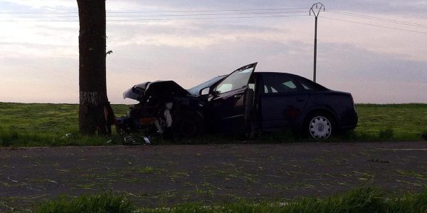 Auf gerader Strecke frontal gegen Baum