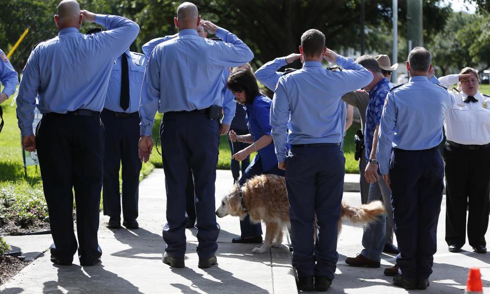 Letzter Suchhund von 9/11 gestorben