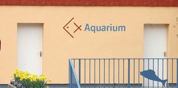 Einbruch im Aquarium Wasserbillig