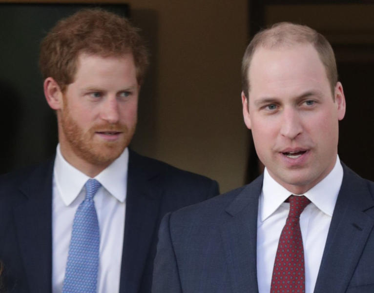 William und Harry wollen ihrer Mutter ein Denkmal setzen