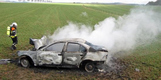 Auto kracht gegen Baum und fängt Feuer