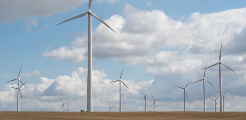 Die Zukunft gehört dem Wind