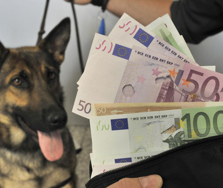 Hund erschnüffelt eine Viertelmillion Euro