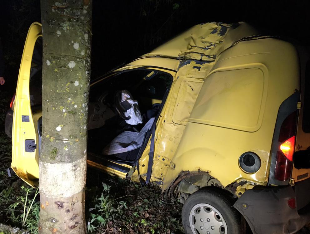 Auto prallt gegen Baum