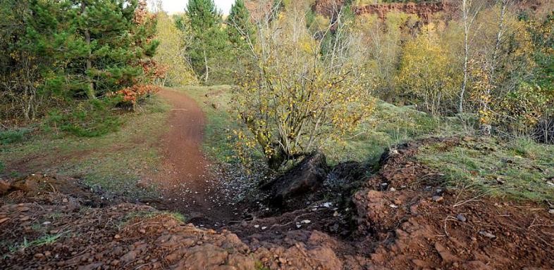 Keine Polizei im Wald