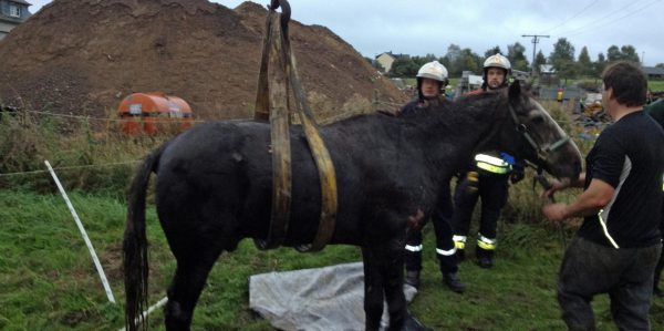 Pferd mit Kran aus Bach gerettet