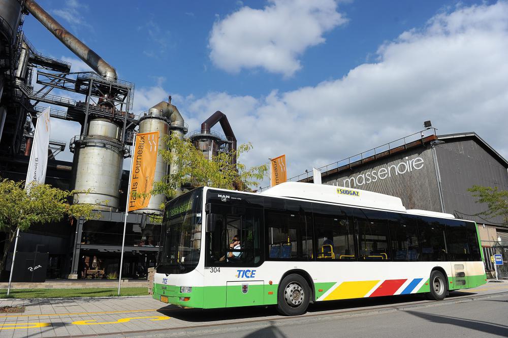 Nachtbusse könnten ab Dezember 2016 fahren