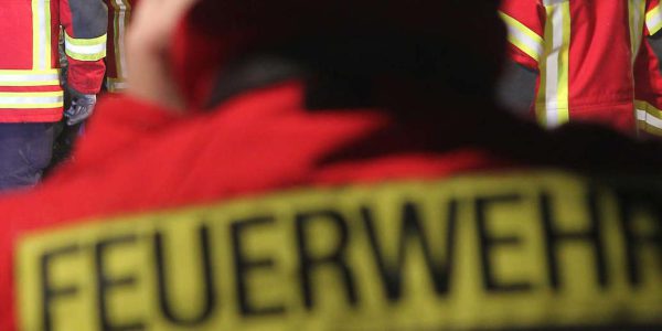 14 Hunde und 3 Menschen gerettet