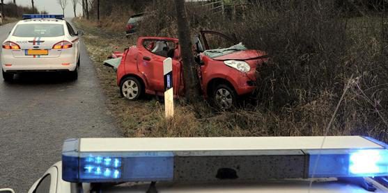 Auto prallt gegen Baum, Fahrerin eingeklemmt