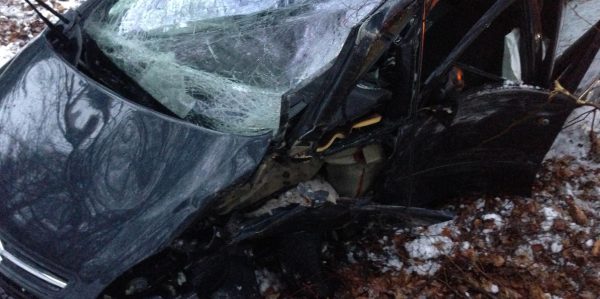 Auto prallt gegen Baum