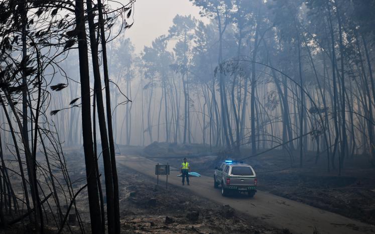 Waldbrand durch Blitzschlag verursacht