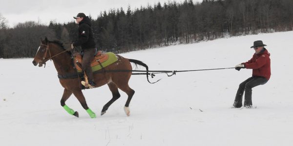 Wenn das Pferd den Skifahrer zieht