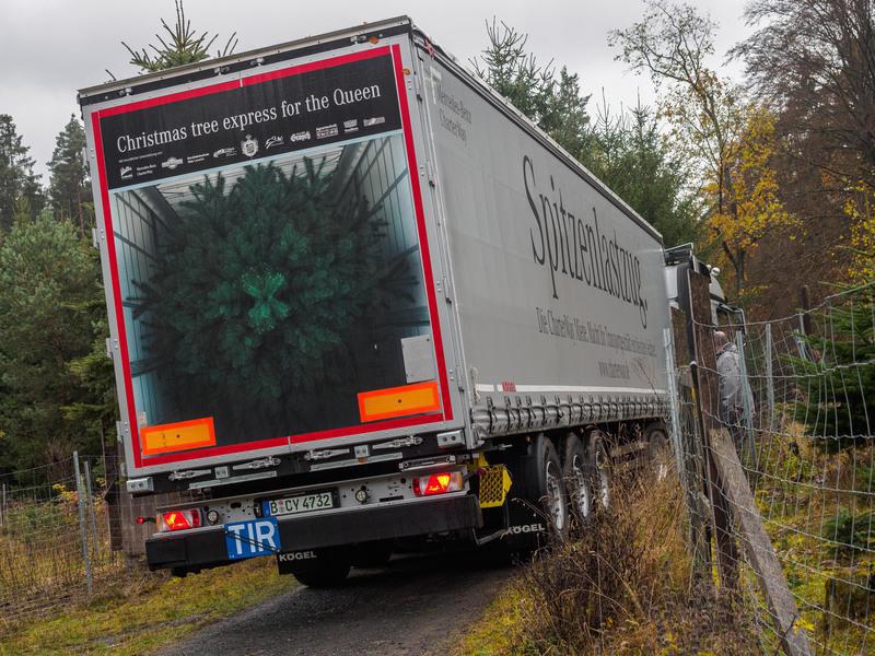 Baum-Transport bekommt Knöllchen