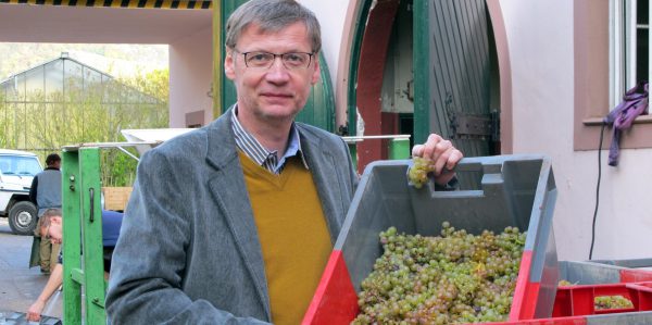 Günther Jauch steht gerne im Weinberg