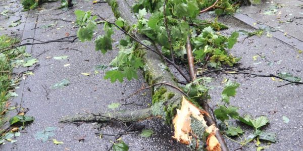 Autos mit Flaschen beworfen