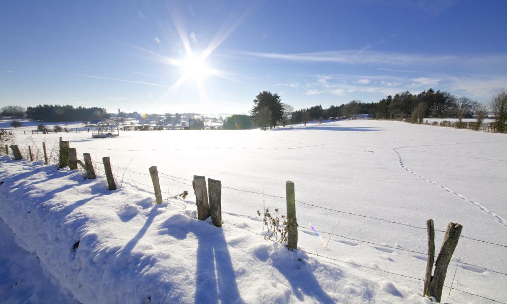 Winter bisher: kalt - sonnig - sehr, sehr trocken