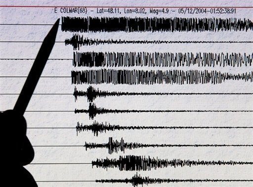 Starkes Beben und kleiner Tsunami im pazifischen Inselstaat Vanuatu