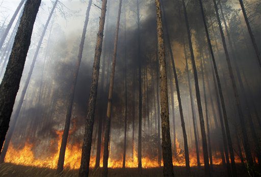 Zahl der Toten nach Waldbränden in Russland auf 34 gestiegen